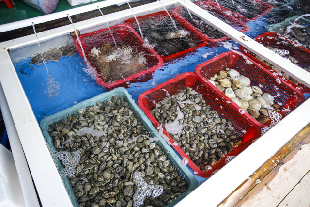 어은돌 장미수산  