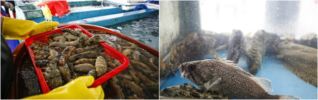 어은돌 장미수산  